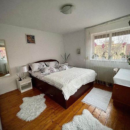 Ada-Ini House Villa Craiova Ngoại thất bức ảnh